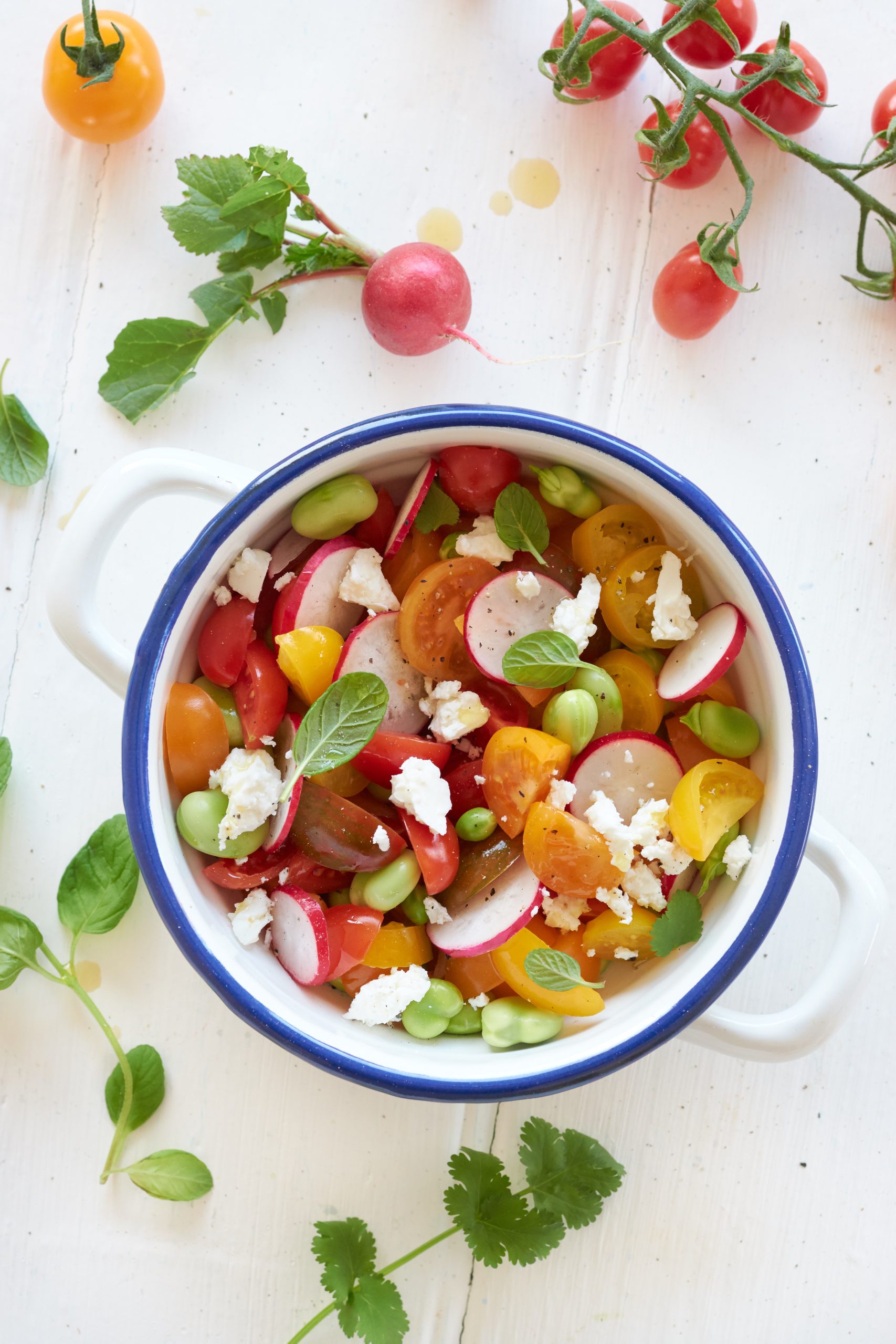 INSALATA PRIMAVERILE CON ZORBAS LIGHT